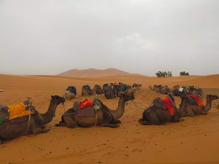 High Atlas Trekking