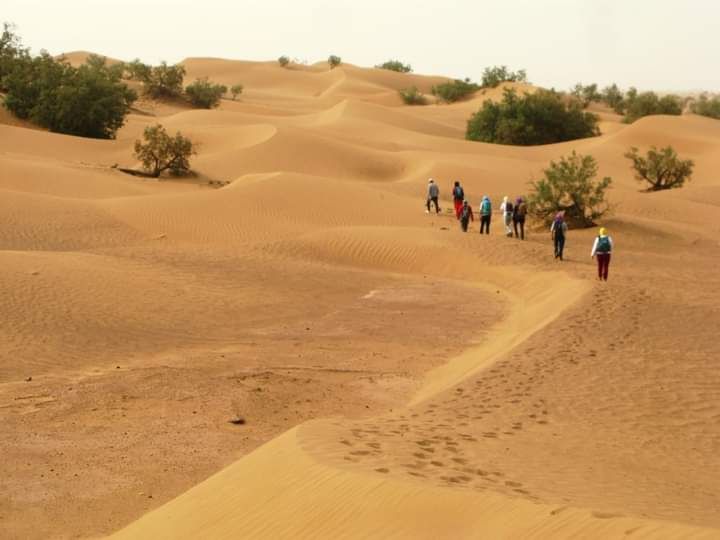 High Atlas Trekking