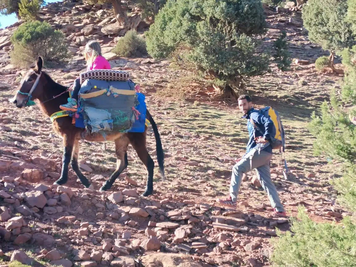 High Atlas Trekking