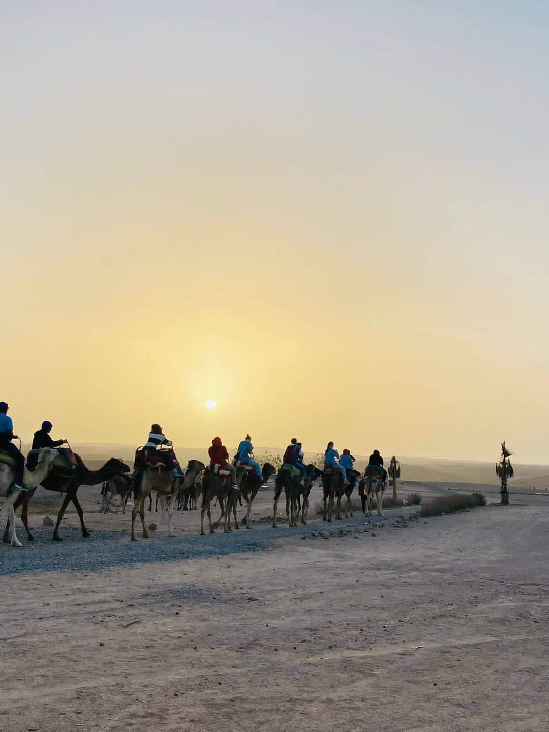 High Atlas Trekking